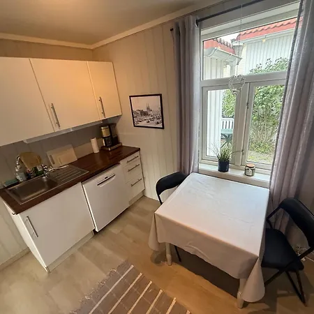Sentral Og Koselig Apartament Skien